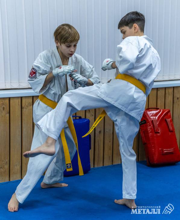 Самый молодой лев | Фотография 7