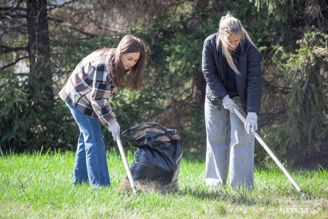 Живая природа на промплощадке | Фотография 9