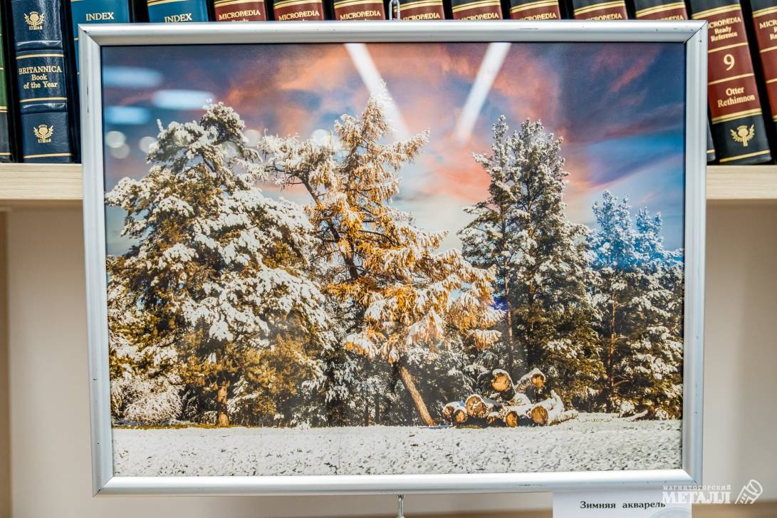 «Мир в объективе металлургов» | Фотография 5