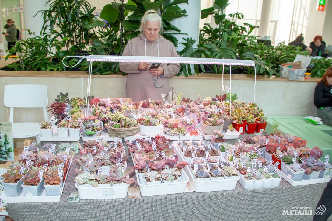 Яркие страницы «Уральских сказов»  | Фотография 3