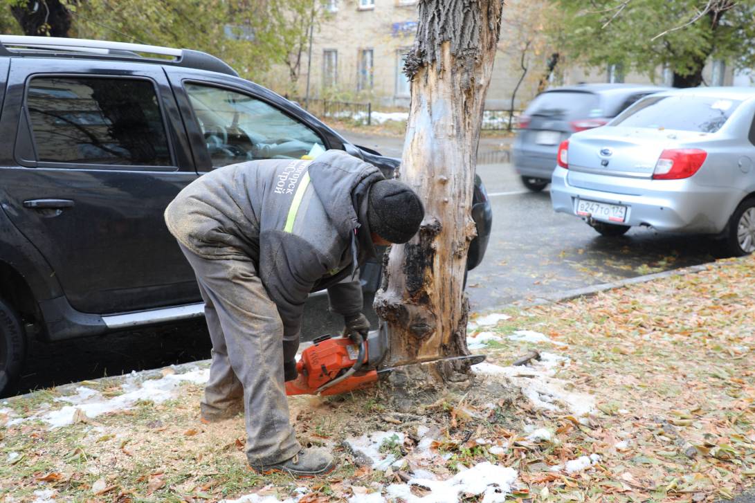 Единственная правильная мера | Фотография 3