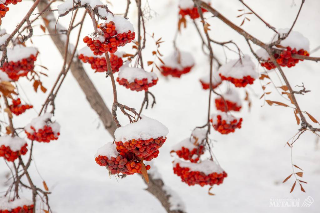 Было тепло и снежно | Фотография 1