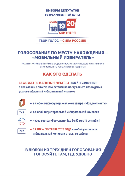 Выборы на Госуслугах | Фотография 2