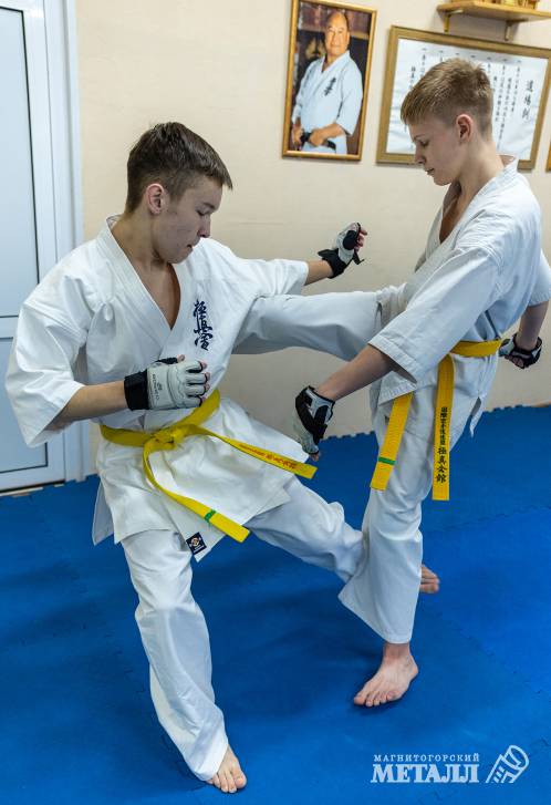 Самый молодой лев | Фотография 8