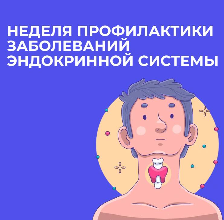 Такая сложная «эндокринка» | Фотография 1
