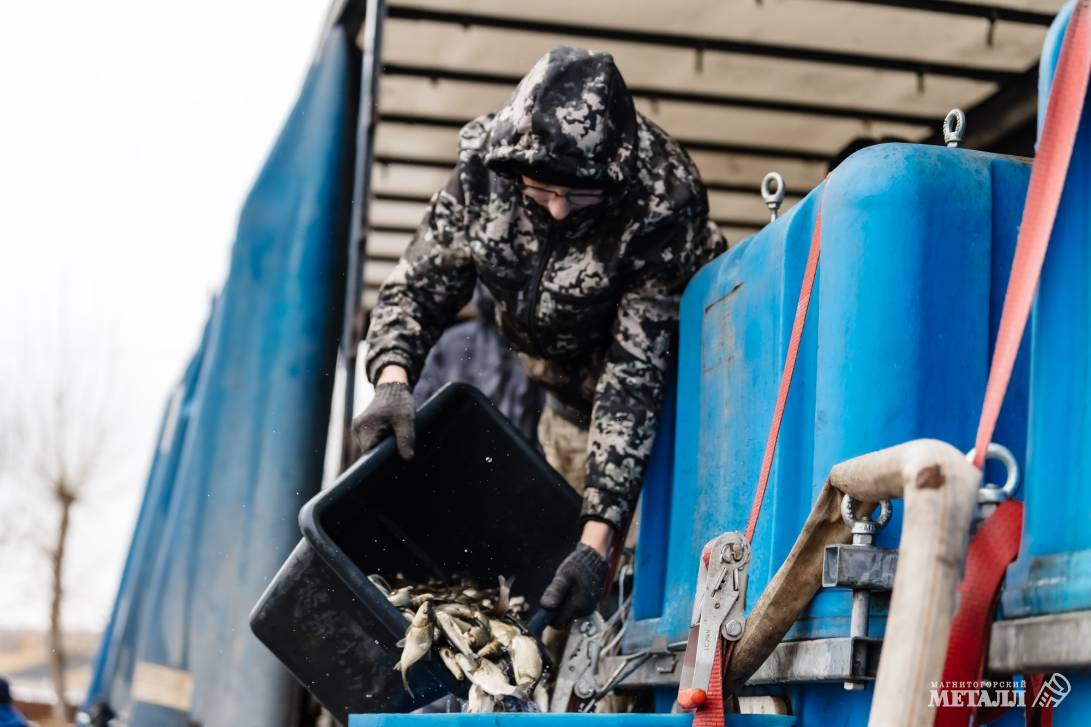 Рыбаки, готовьте удочки! | Фотография 25