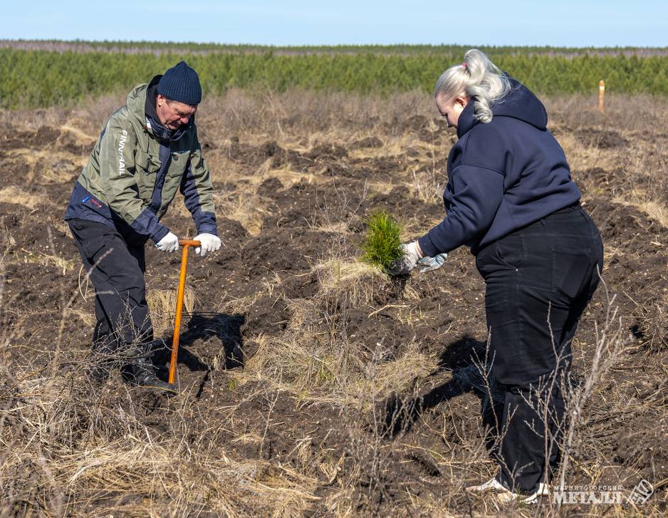 Не про потребление, а про созидание! | Фотография 7