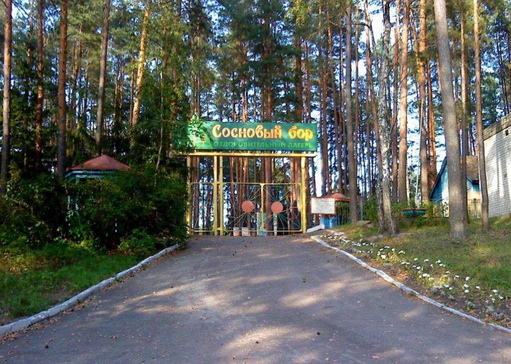 «Сосновый бор» – в добрые руки | Фотография 1