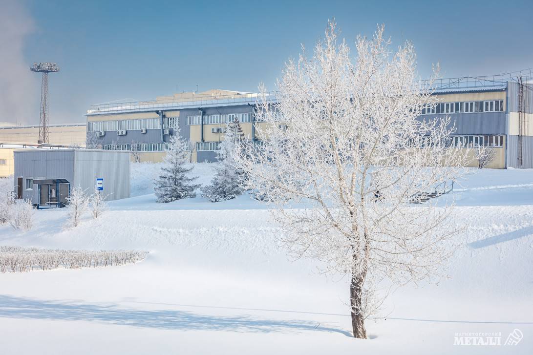 Прощай, зима! | Фотография 30