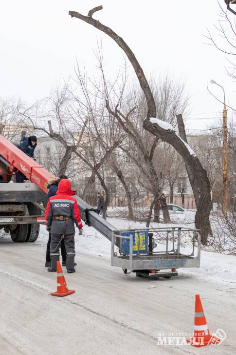 Убрать старое, чтобы посадить новое | Фотография 1