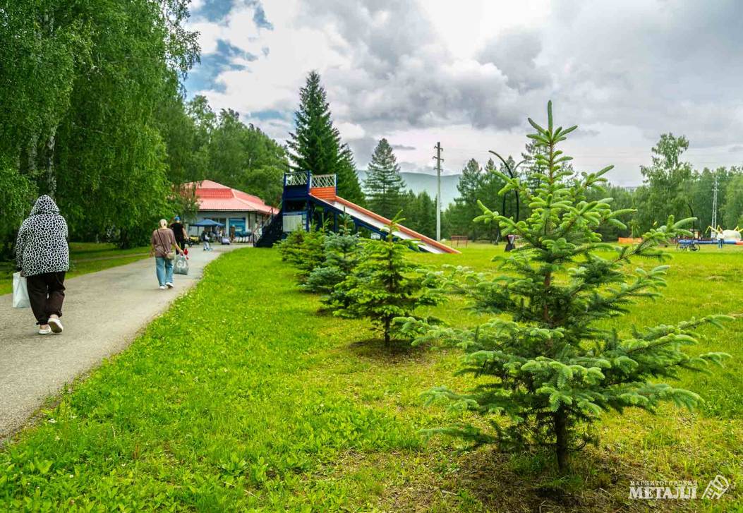 Теперь – под зелёным флагом  | Фотография 57