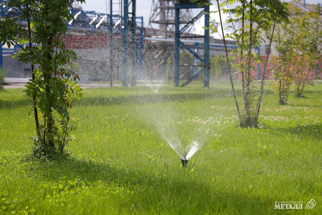 Новое дыхание | Фотография 7