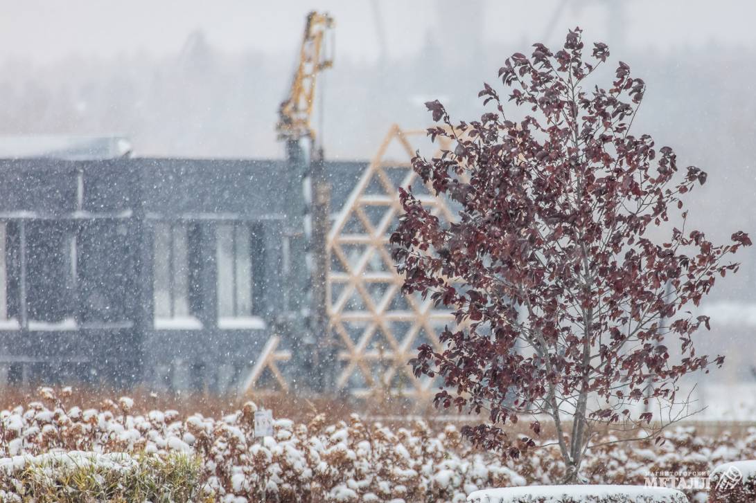 Прощай, зима! | Фотография 8