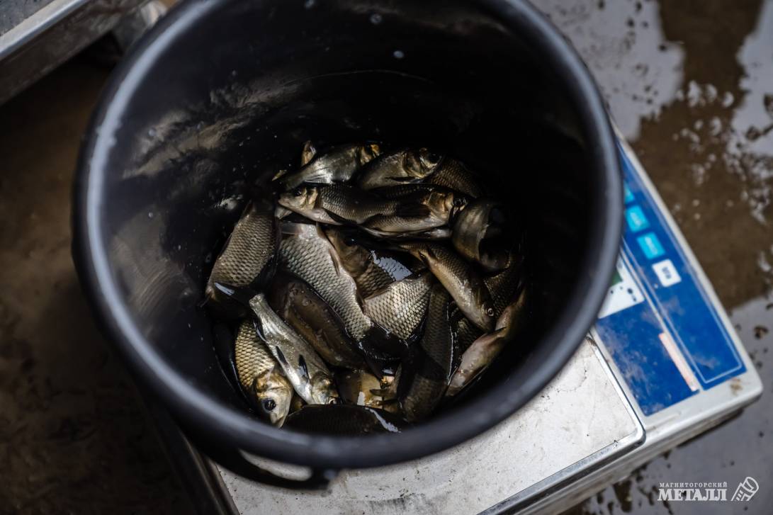 Рыбаки, готовьте удочки! | Фотография 5