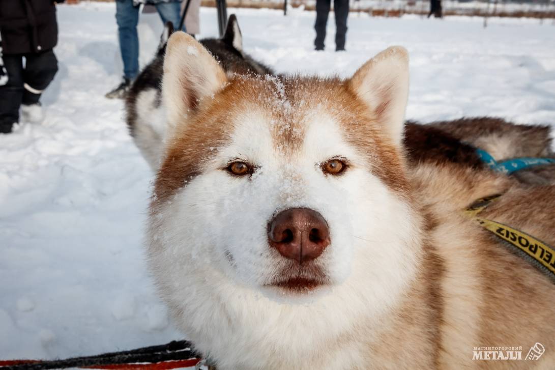 Снежно, весело, спортивно | Фотография 23