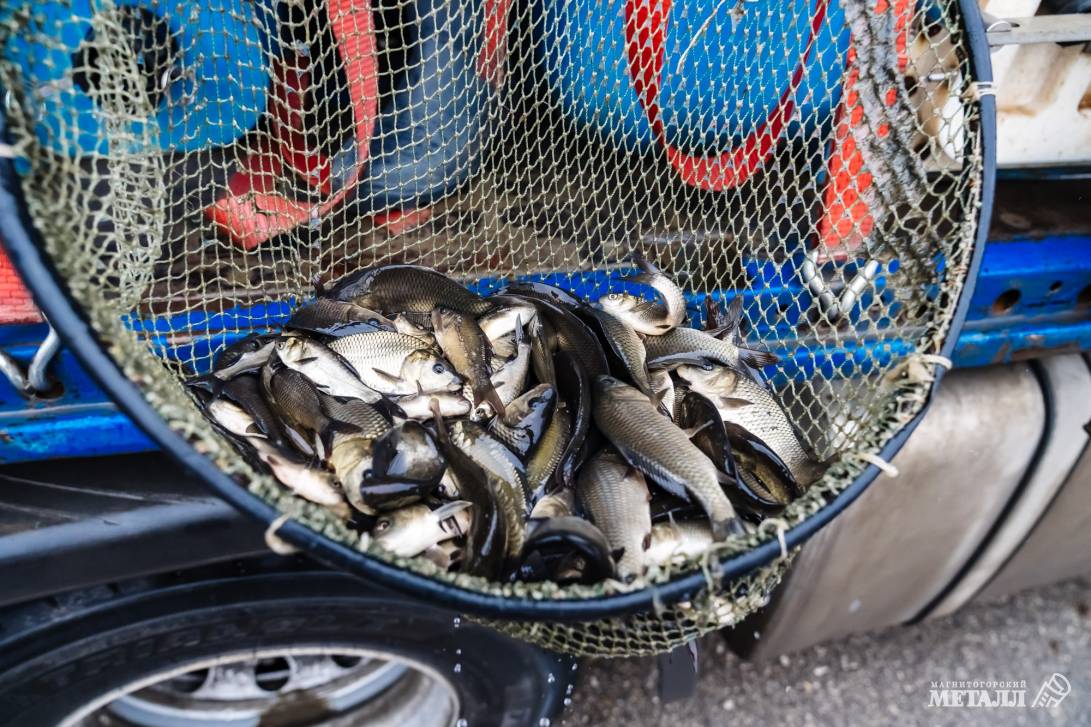 Рыбаки, готовьте удочки! | Фотография 2