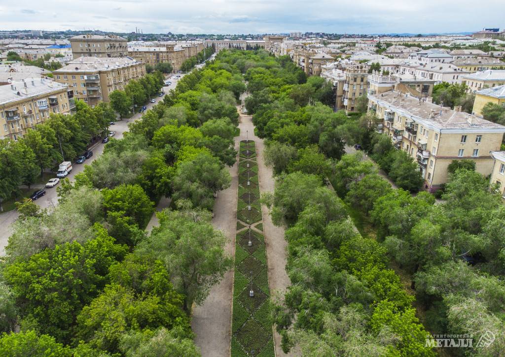Почти тысяча гектаров | Фотография 1