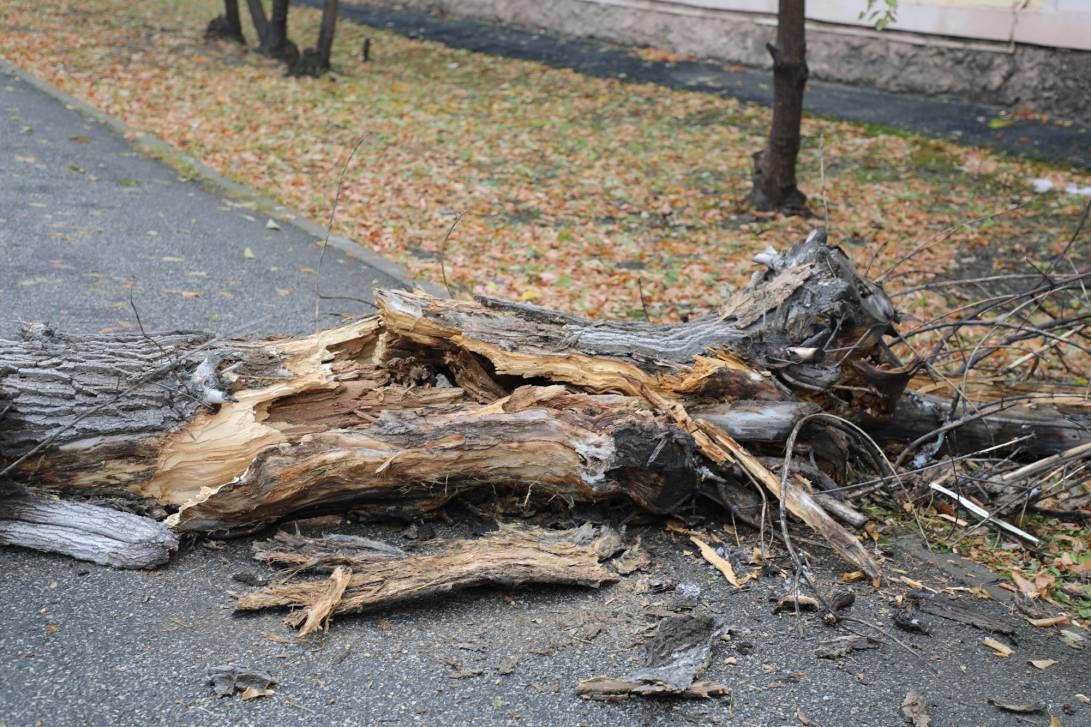 Единственная правильная мера | Фотография 4