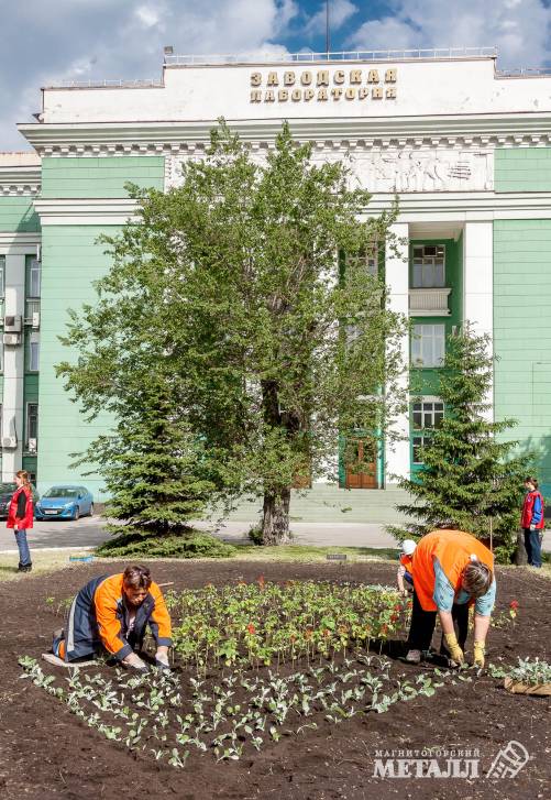 Новое дыхание | Фотография 8