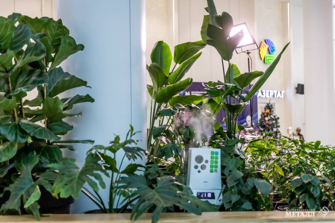 И среди зимы бывает лето | Фотография 14