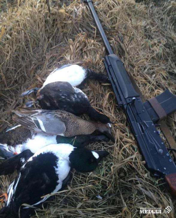 Каждый охотник желает… | Фотография 1