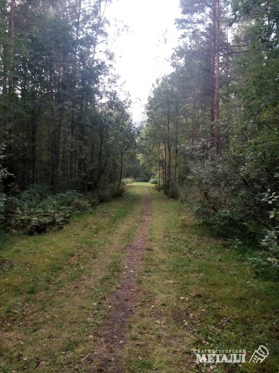 Как отправить медведя в спячку | Фотография 1