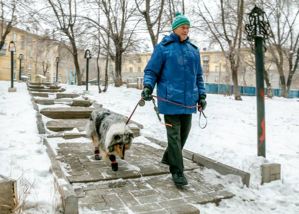 Вроде есть, а вроде нет | Фотография 1