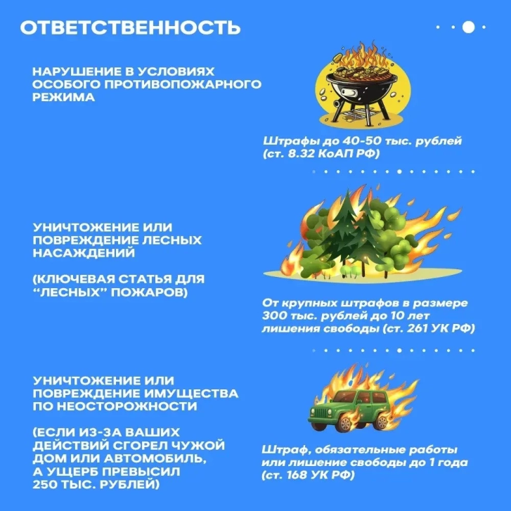 Пожароопасный сезон: что важно знать каждому? | Фотография 4