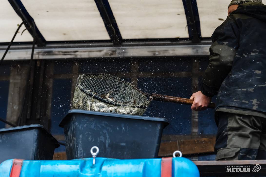 Рыбаки, готовьте удочки! | Фотография 20