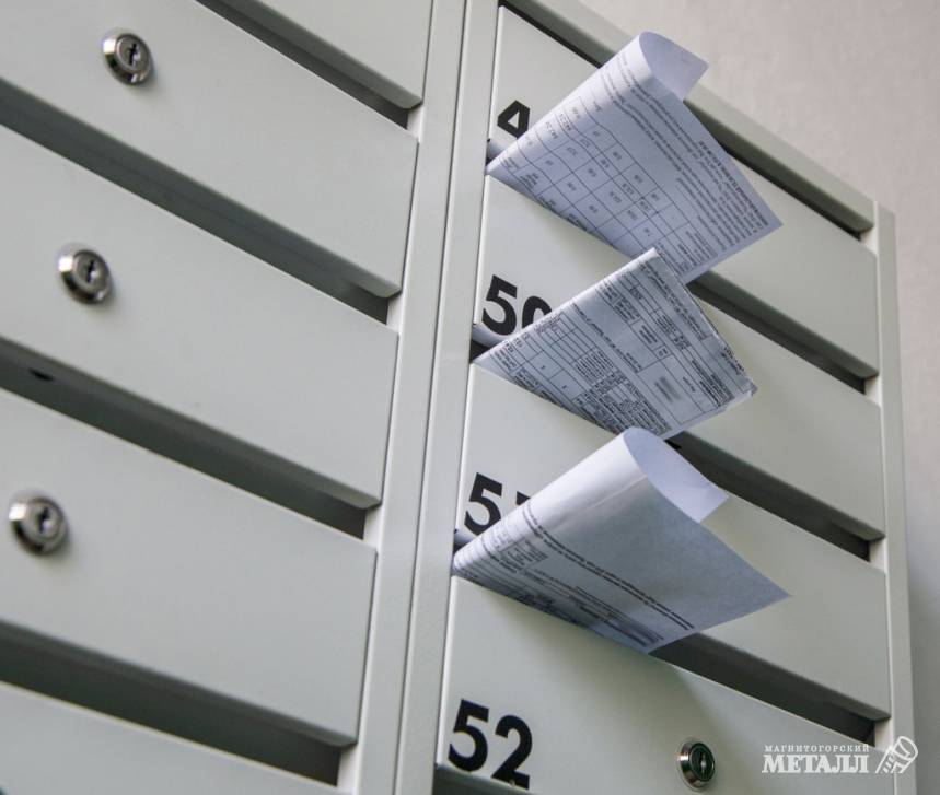 Рост неизбежен | Фотография 1