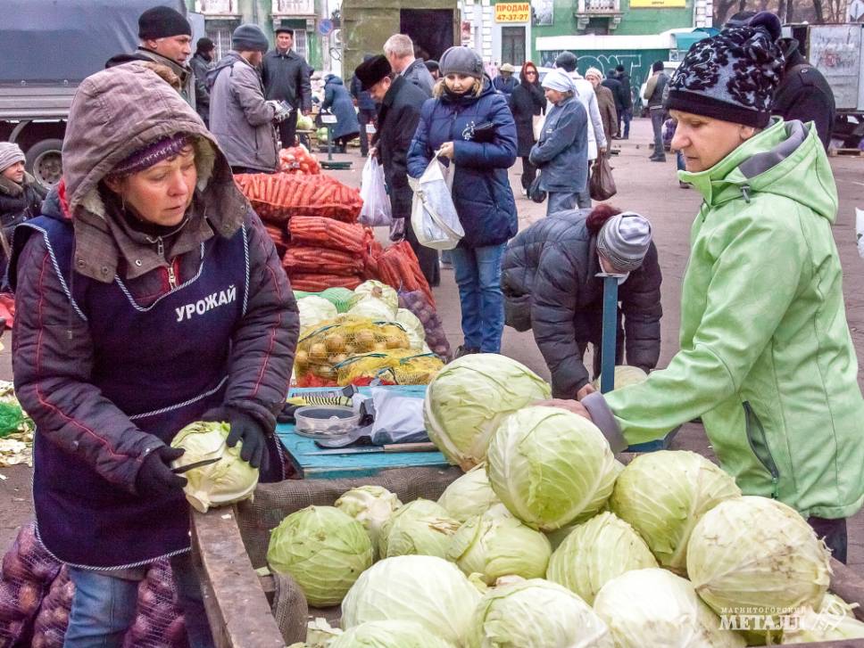 Капуста всему голова?  | Фотография 1