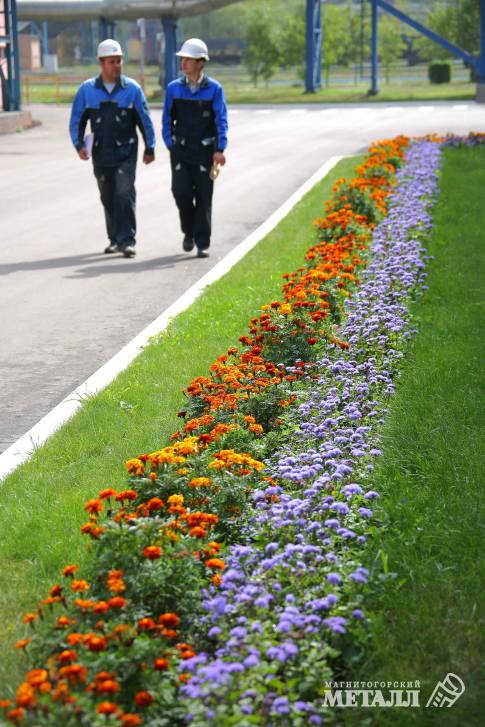 Новое дыхание | Фотография 6