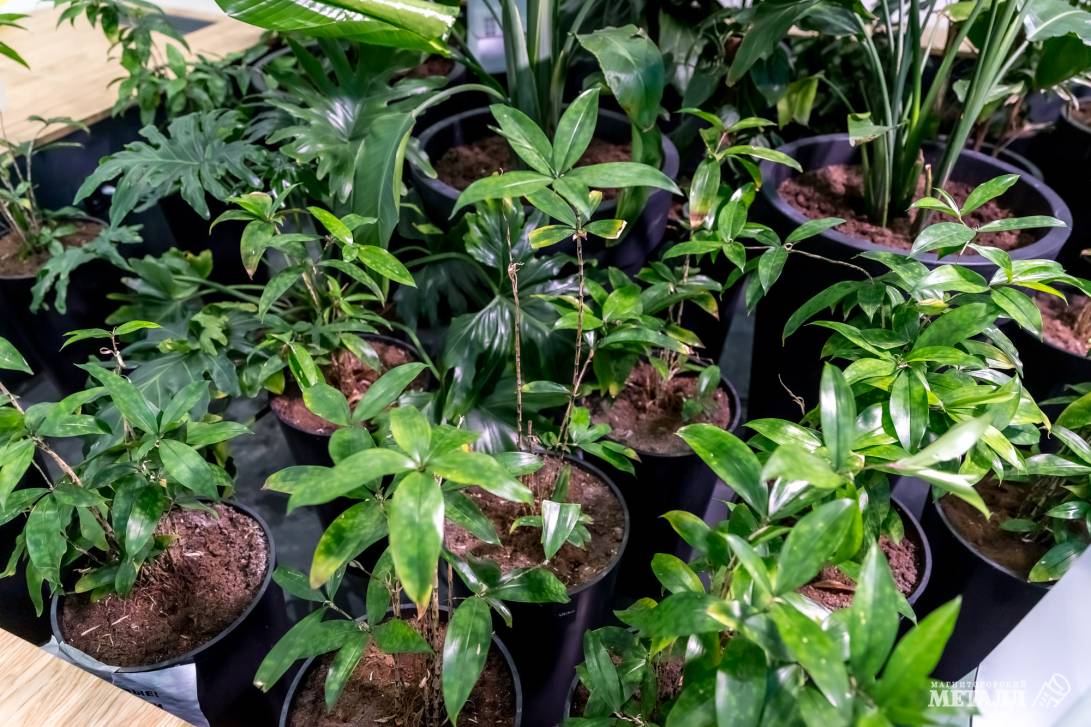 И среди зимы бывает лето | Фотография 7