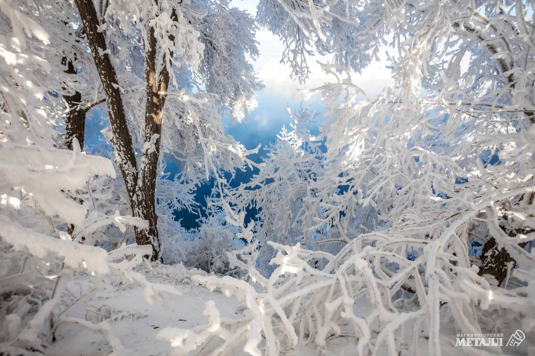 Прощай, зима! | Фотография 9