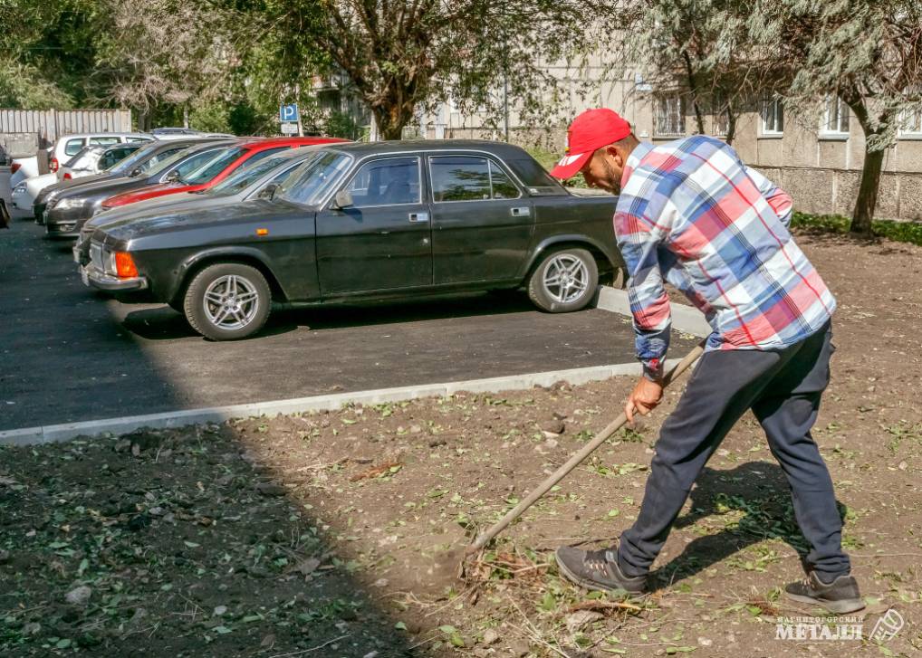 Городское садоводство | Фотография 1