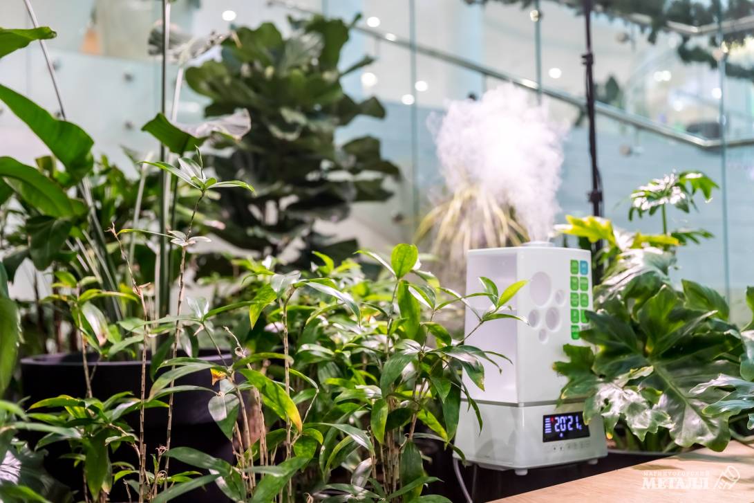 И среди зимы бывает лето | Фотография 8