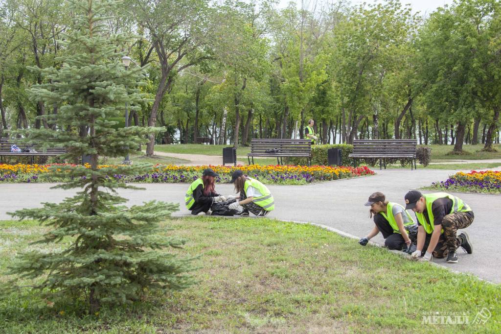 Первый заработок | Фотография 1