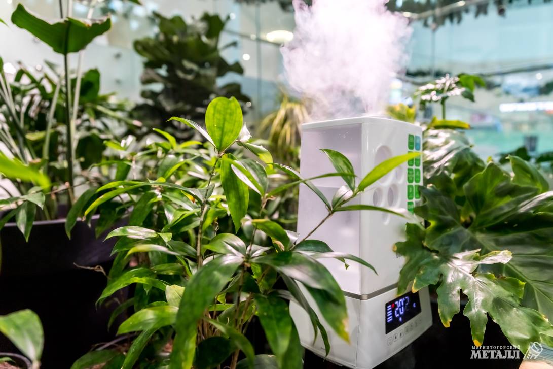 И среди зимы бывает лето | Фотография 3