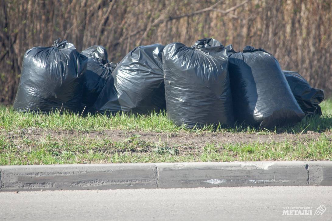 Живая природа на промплощадке | Фотография 10