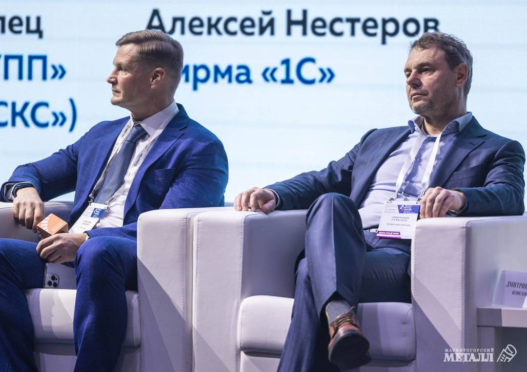 Дмитрий Аникин, Дмитрий Стрелец