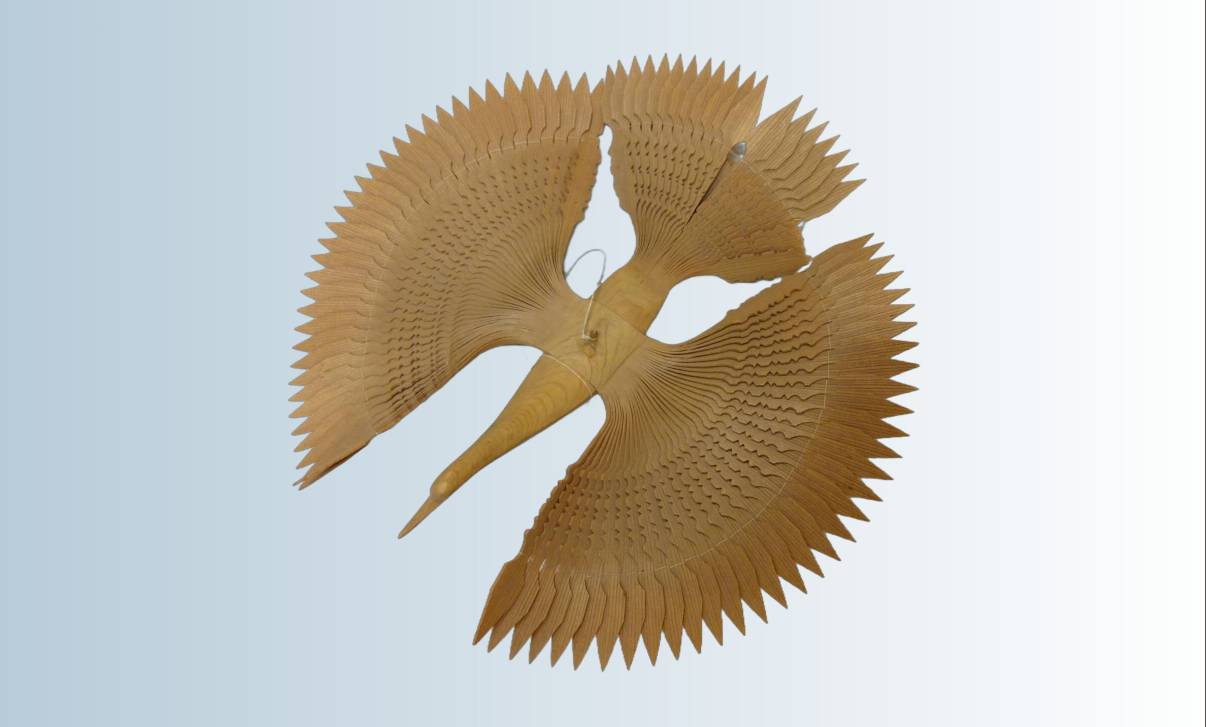 «Россия – симфония народов» | Фотография 2