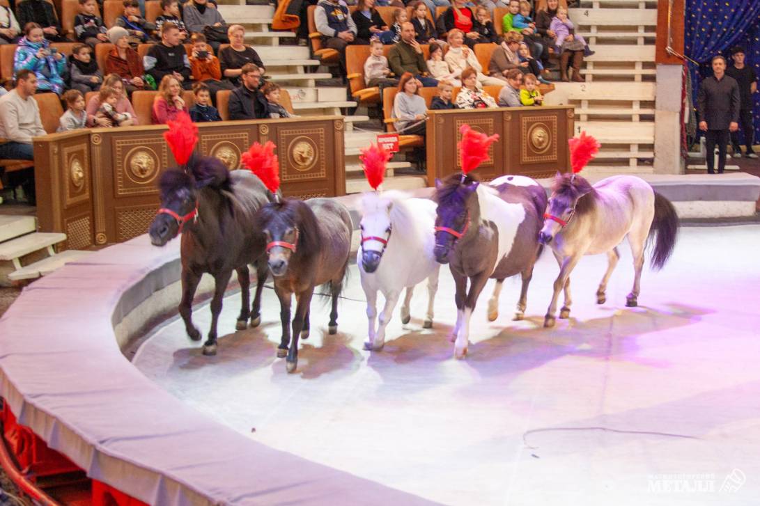 Новый год в Стране чудес | Фотография 15