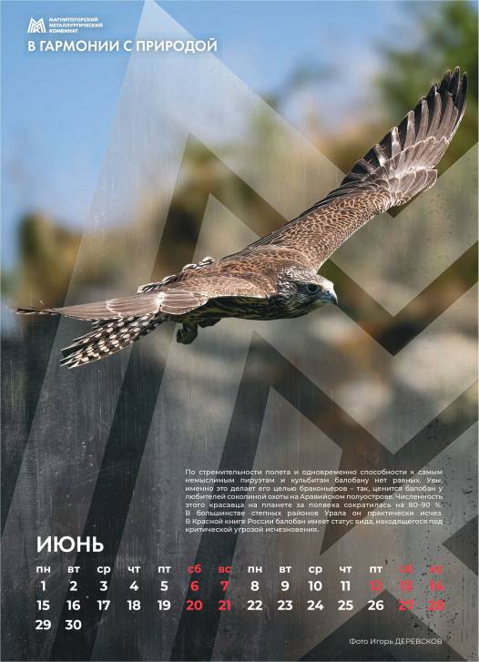 Так выглядит совершенство | Фотография 7