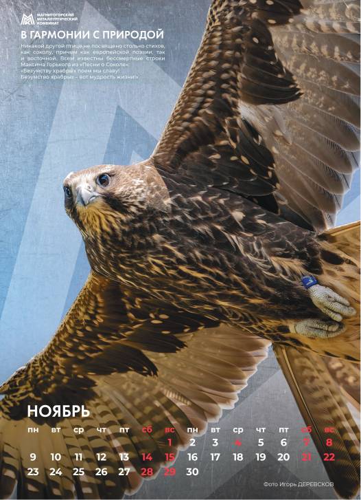 Так выглядит совершенство | Фотография 12