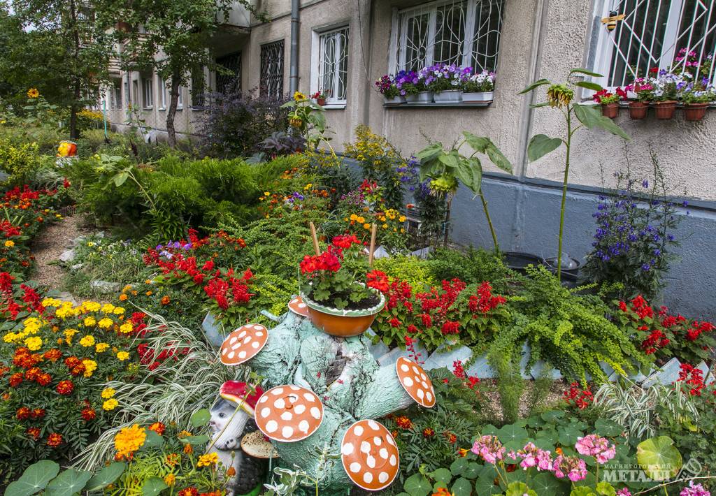 Город неравнодушных людей | Фотография 1