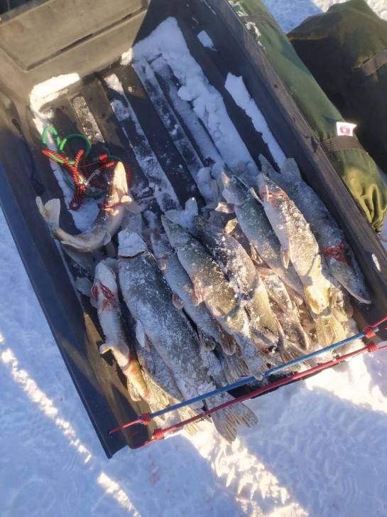 Ловись, рыбка… | Фотография 1