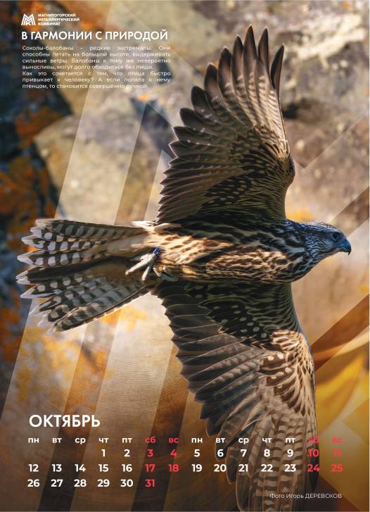 Так выглядит совершенство | Фотография 11