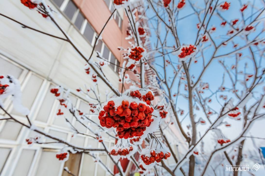 Прощай, зима! | Фотография 3