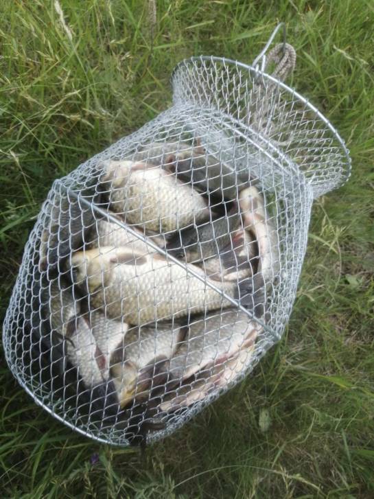 Браконьерская «запрещёнка» | Фотография 1