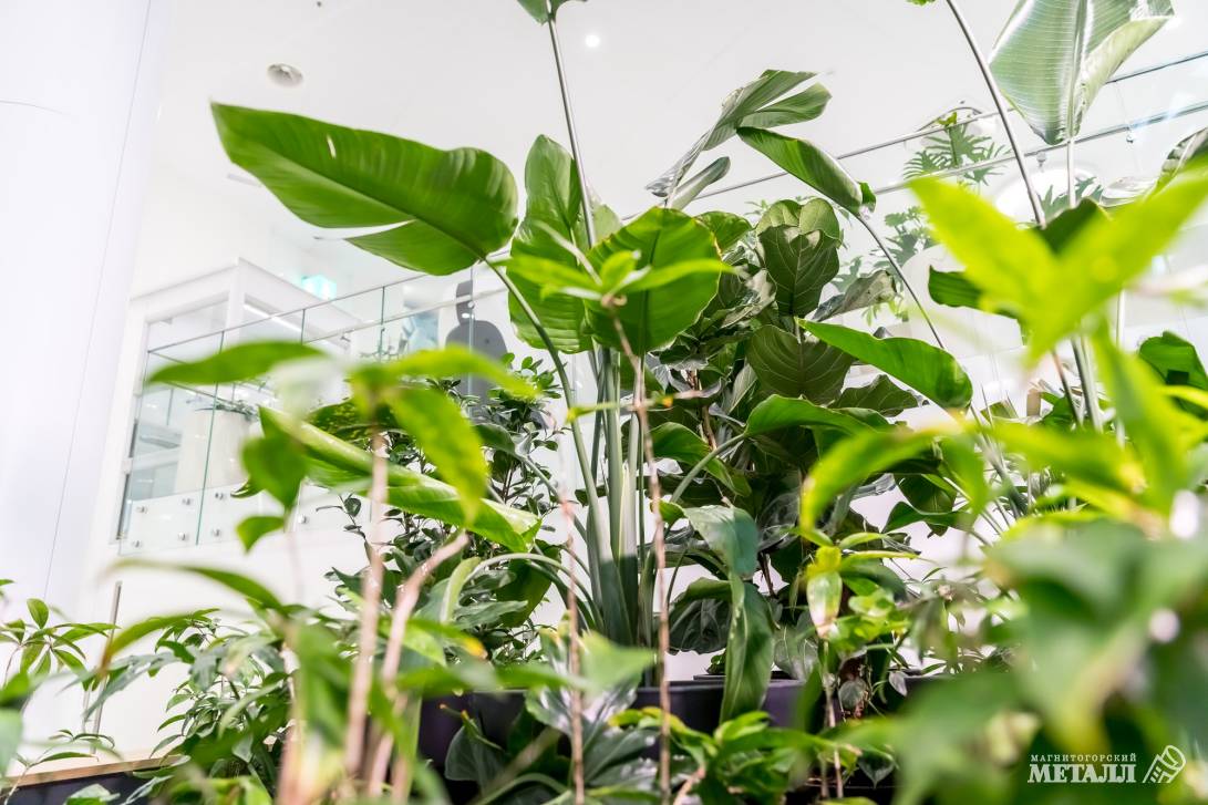 И среди зимы бывает лето | Фотография 6